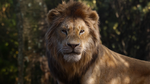 Simba (The Lion King; 2019 live-action adaptation)
