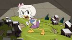 Adventures in Duckburg (1)