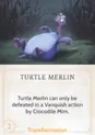 Turtle Merlin
