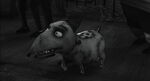 Frankenweenie-disneyscreencaps.com-7887