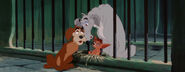 Lady-tramp-disneyscreencaps.com-6840