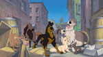 Angel with Buster and the junkyard dogs