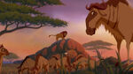 Lion-king2-disneyscreencaps com-1904