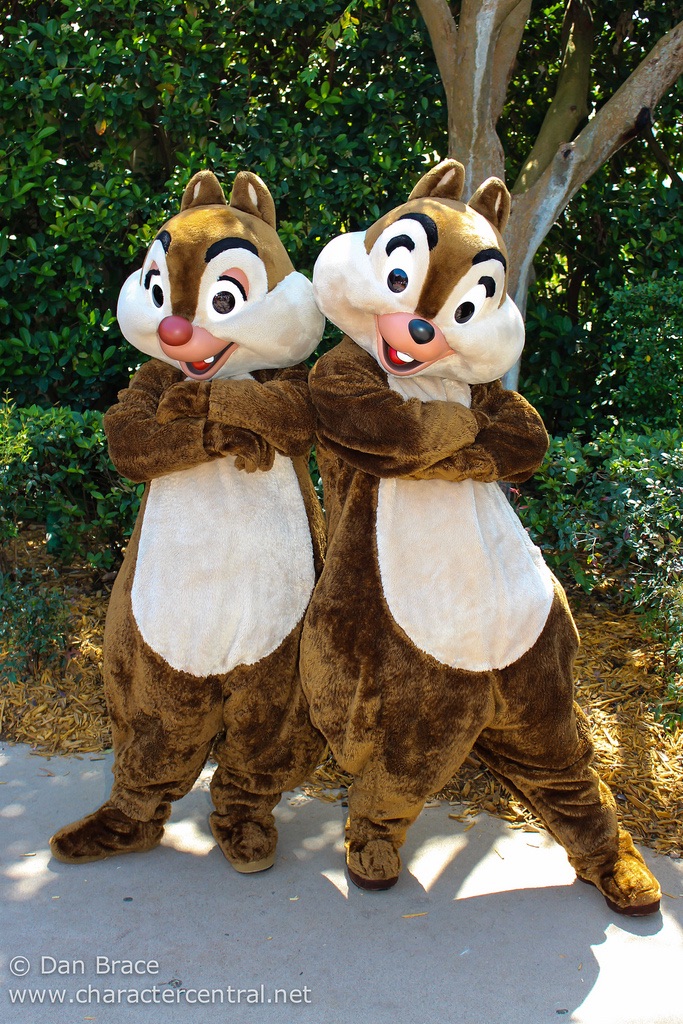 Chip and dale outfit hotsell