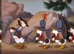 Donald Duck - Good Scouts march