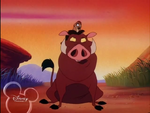 Timon chose to be friends with Pumbaa (how touching)