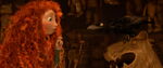 Merida and the Witch's talking crow