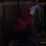 Alan Tudyk as Iago