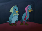 Birds