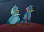 Birds (Cinderella)