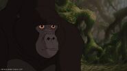 Kerchak