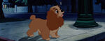 Lady-tramp-disneyscreencaps.com-4977