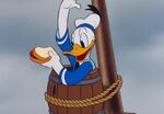 Mickey-and-Friends Donald-Duck Food