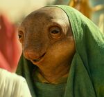 Nambi Ghima (Star Wars: The Rise of Skywalker)