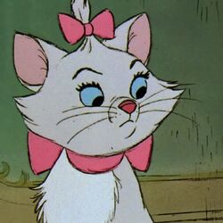 カテゴリ おしゃれキャットのキャラクター Disney Wiki Fandom