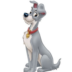 カテゴリ わんわん物語のキャラクター Disney Wiki Fandom カテゴリ わんわん物語のキャラクター Disney Wiki Fandom