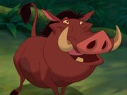 カテゴリ ライオン キングのキャラクター Disney Wiki Fandom