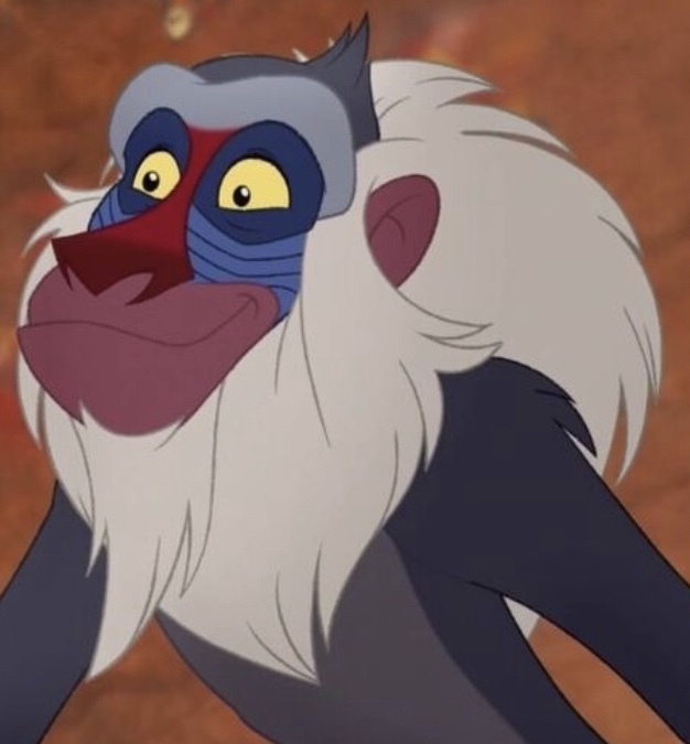 ラフィキ Disney Wiki Fandom ラフィキ Disney Wiki Fandom
