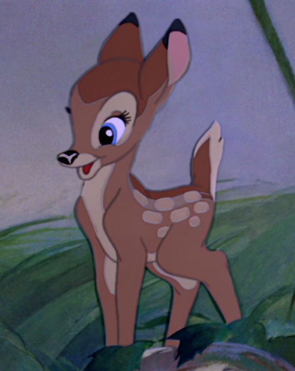 ファリーン Disney Wiki Fandom ファリーン Disney Wiki Fandom