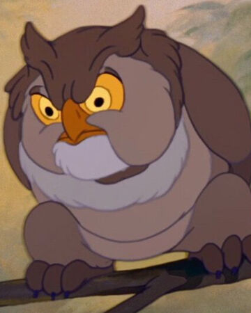 フクロウ Disney Wiki Fandom フクロウ Disney Wiki Fandom