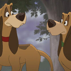 カテゴリ きつねと猟犬のキャラクター Disney Wiki Fandom カテゴリ きつねと猟犬のキャラクター Disney Wiki Fandom