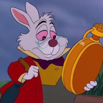 白うさぎ Disney Wiki Fandom