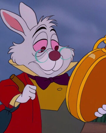 白うさぎ Disney Wiki Fandom