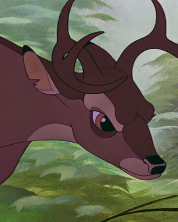 ロノ Disney Wiki Fandom ロノ Disney Wiki Fandom