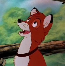 トッド Disney Wiki Fandom