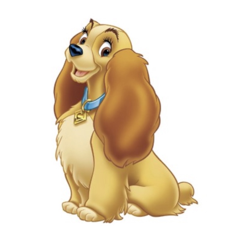 レディ Disney Wiki Fandom レディ Disney Wiki Fandom