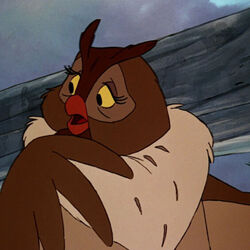カテゴリ きつねと猟犬のキャラクター Disney Wiki Fandom カテゴリ きつねと猟犬のキャラクター Disney Wiki Fandom