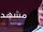 "تضليل الشرطة" - الشقيقان رحلة خيالية