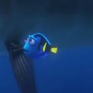 ضوري المراهقة البحث عن ضوري