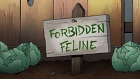 ForbiddenFelineTitleCard
