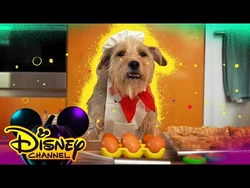 Disney Channel Halloween House Party Disney Channel Wiki Fandom