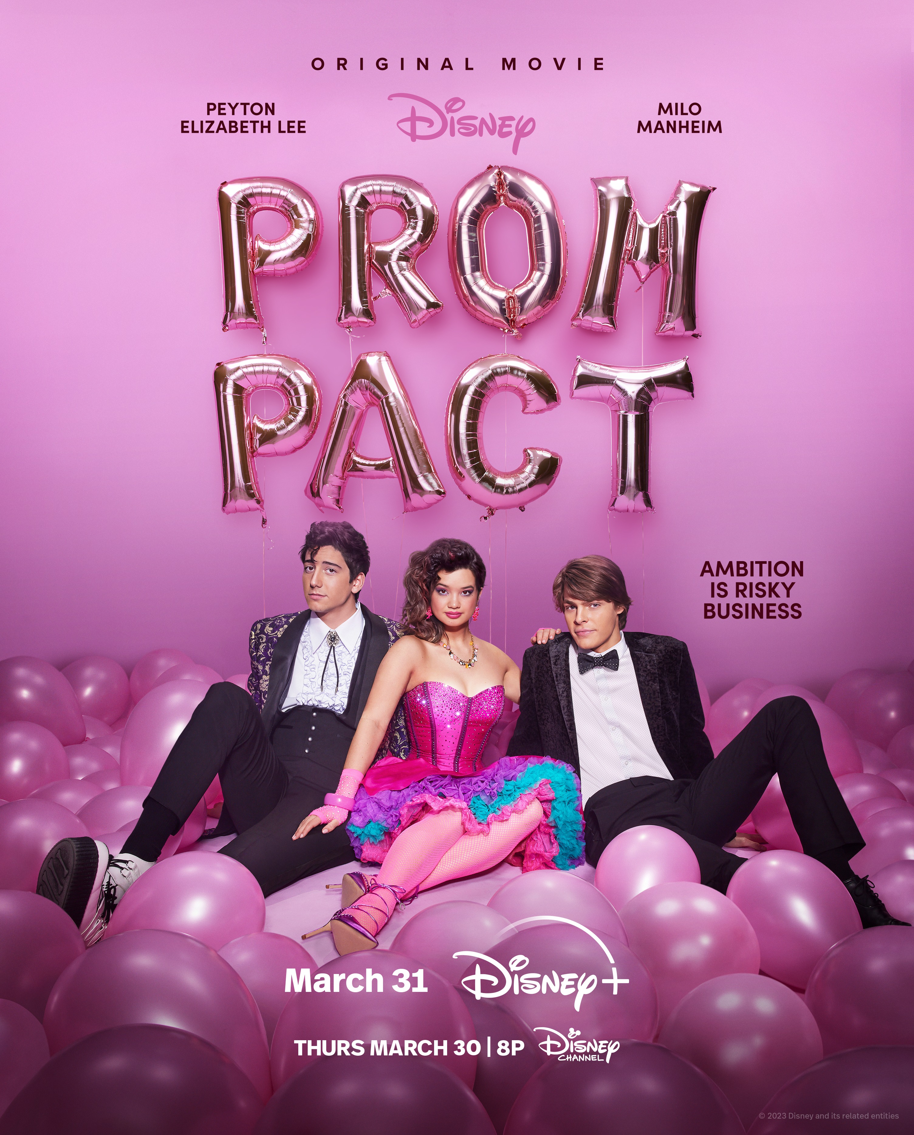 Princess Protection Program - Wikipedia