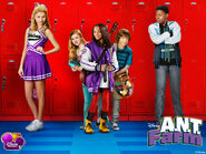 ANTFARM10