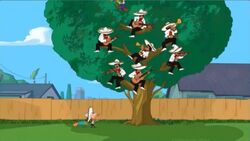 Mariachi tree
