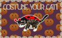 CatCostume-4