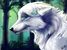 Disney-Create-SLiNKi47-Mysterious-wolf