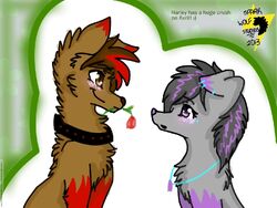 Disney-Create-xXsparkwolfXx-For-Mist566.jpg