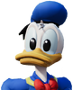 káčer Donald