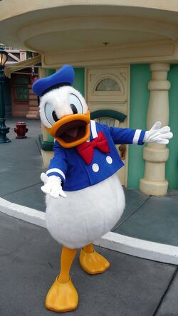 Donald Duck, Disney Fanon Wiki