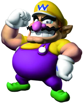 Wario MSOG