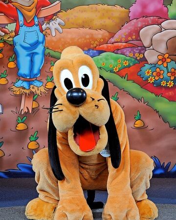 disney fanon wiki fandom