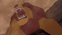 Mufasa roars in pain