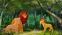 Simba approaches his cubs