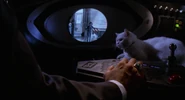 Scolex spying on Brenda