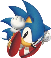 Sonic performing the .