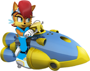 Princess Sally Acorn